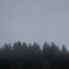 IMG_2589.jpg