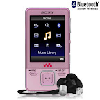 Sony Walkman Video MP3 Player NWZ-A828 (8GB)