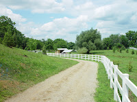 DSC04665.JPG