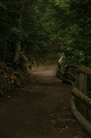 This is the trail leading from the Sabbaday Falls.