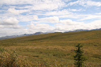 IMG_1003.jpg