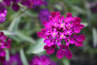IMG_1356.jpg