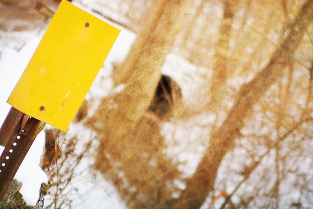 [yellow4[2].jpg]