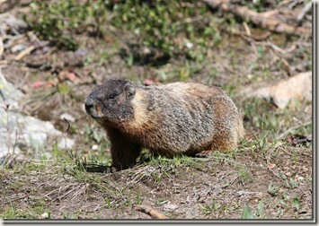 IMG_07317 IMG_07317