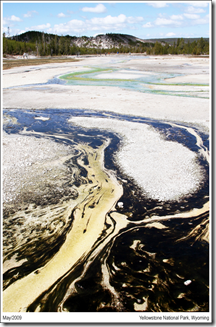 Norris Geyser Basin