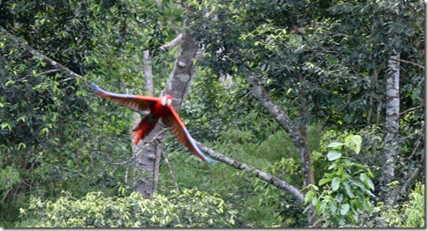 sIMG_2251 sIMG_2251