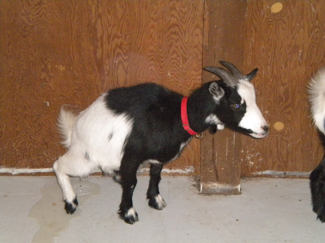 DSCN1232.JPG