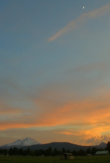 Pine Meadow dusk
