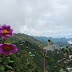 Mussorie 255.jpg