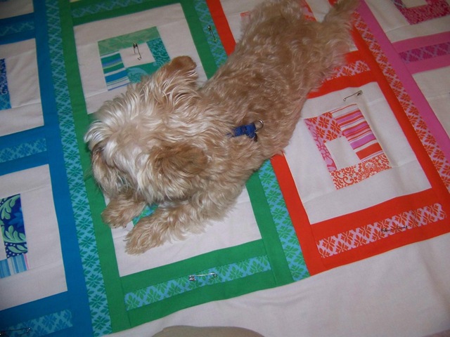 [maggie on quilt[2].jpg]