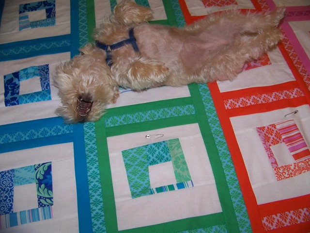 [maggie on quilt 2[2].jpg]