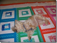 maggie on quilt 4