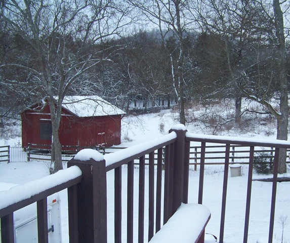[snow december[9].jpg]