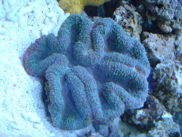 DSC00007.JPG