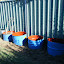 kristiecav's Back Fence Veg garden