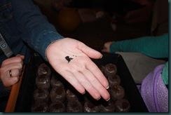 IMG_0988a