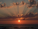 03%20Bird%20of%20the%20Sunset.jpg
