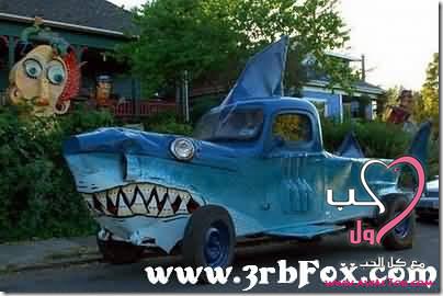��� ������ ����� ����� image003.jpg