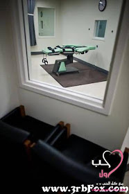 http://lh3.ggpht.com/_uFyT6fjJ9wI/TKGd-9LKh6I/AAAAAAAADiY/ZFXbi6MHPYA/s512/image006.jpg