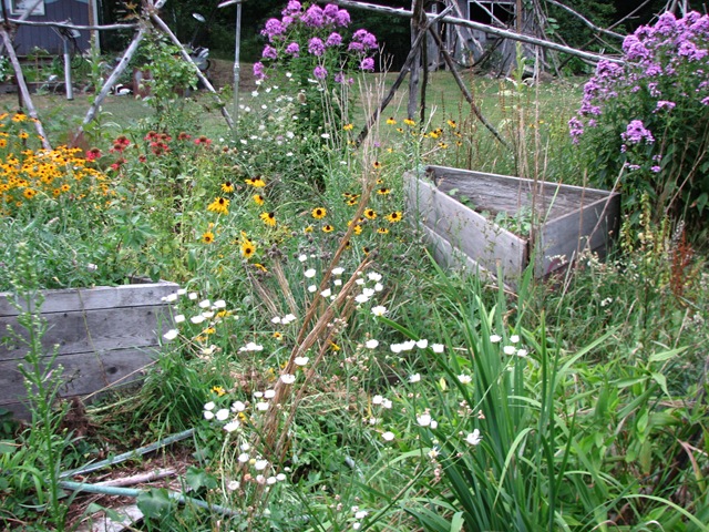 [summergathering100732.jpg]