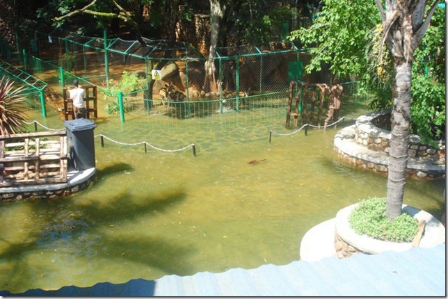 harties animal and snake park