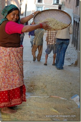 separating rice from husks
