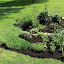 hstupno's 2009 Backyard garden