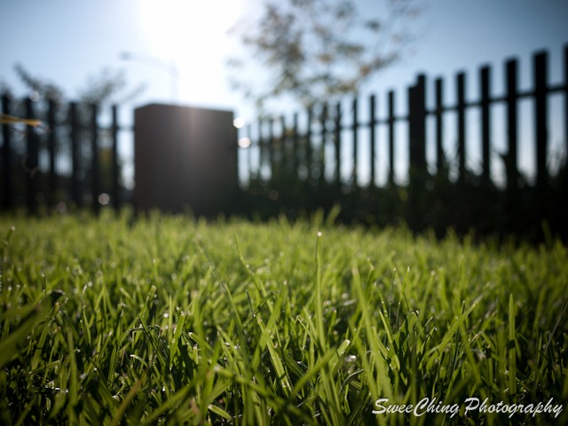 [P1110668_GF1[8].jpg]
