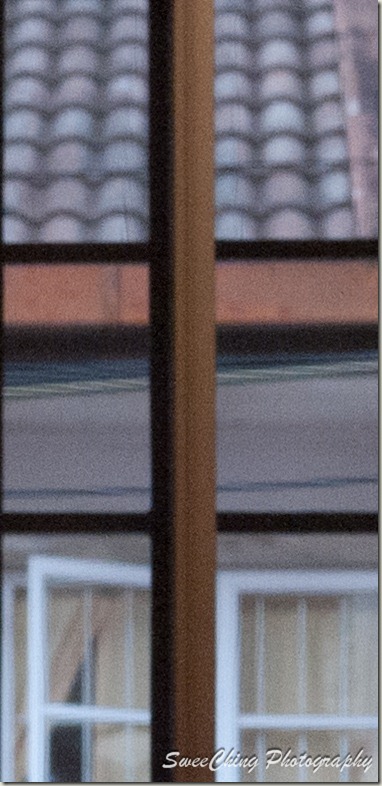 P1150305_GF1