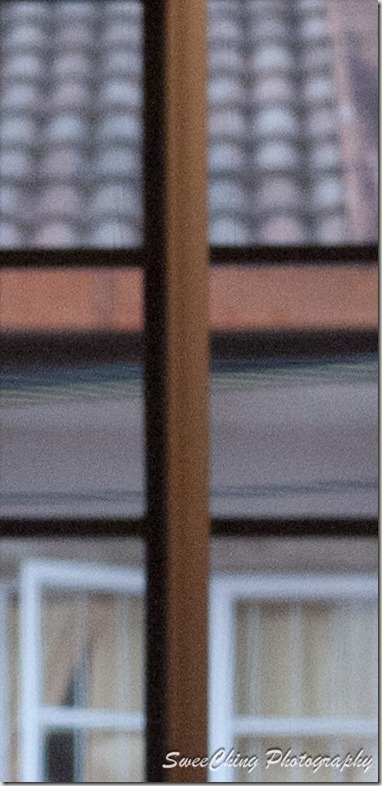 P1150306_GF1