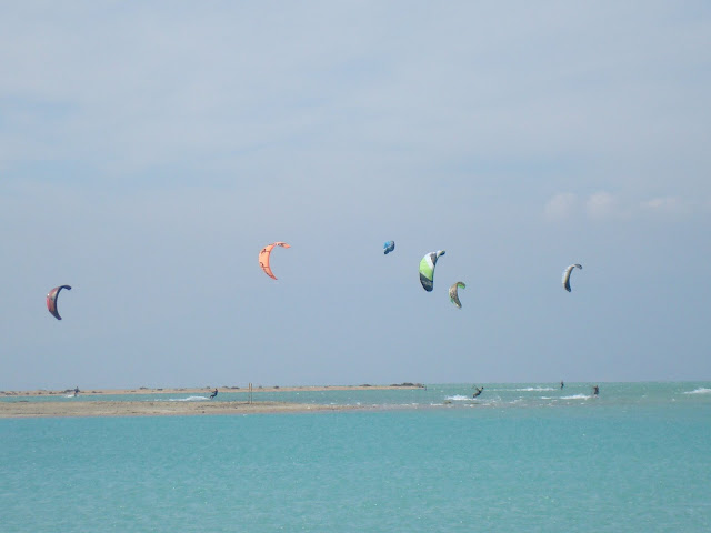 kite ras surd egitto