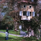 Margaret's Tree House