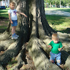 Climbing in Carrots 5.JPG