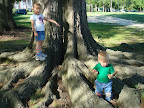 Climbing in Carrots 5.JPG