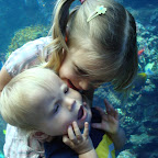 Georgia Aquarium-10.JPG