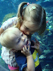Georgia Aquarium-10.JPG