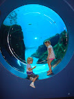 Georgia Aquarium-3.JPG