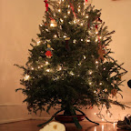 IMG_3981.JPG