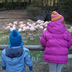 DSC05064.JPG
