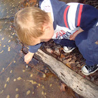 DSC05196.JPG