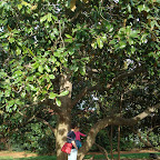 DSC05255.JPG