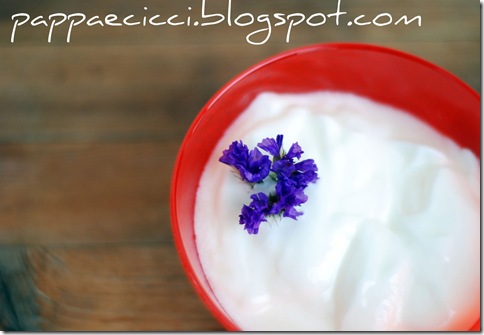 yogurt yogurt