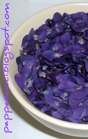[viole1[18].jpg]