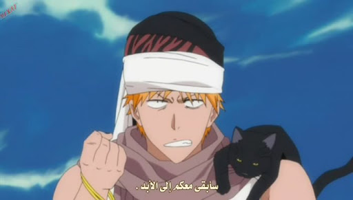 Bleach-287-by_%2BSubKing_upload_madmen12.rmvb_snapshot_14.31_%5B2010.09.09_00.36.56%5D