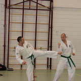 IMG_8981.JPG