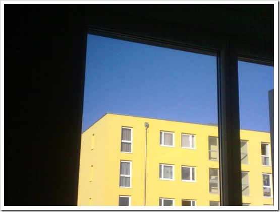 From my bed