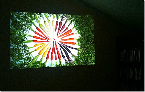 Carrots - colourful Projected Image