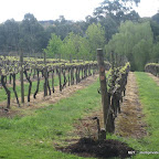 Chef-led journey through the Mornington Peninsula nine