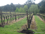 Chef-led journey through the Mornington Peninsula nine