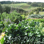 Chef-led journey through the Mornington Peninsula eleven